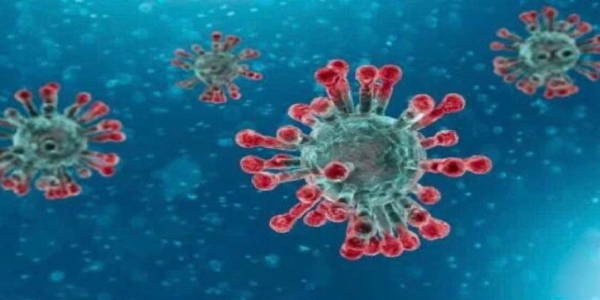  6 New Positive Coronavirus Cases Identified Today, 11 People In Hospital With 3 In ICU