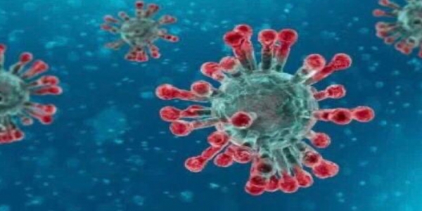  1 New Positive Coronavirus Case Identified Today