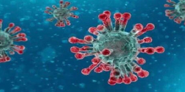  1 New Positive Coronavirus Case Identified