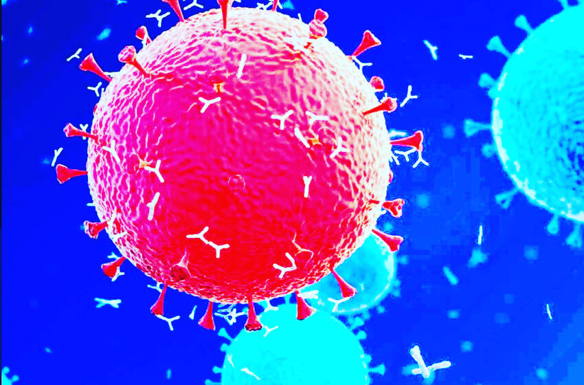  20 New Positive Coronavirus Case Identified Today