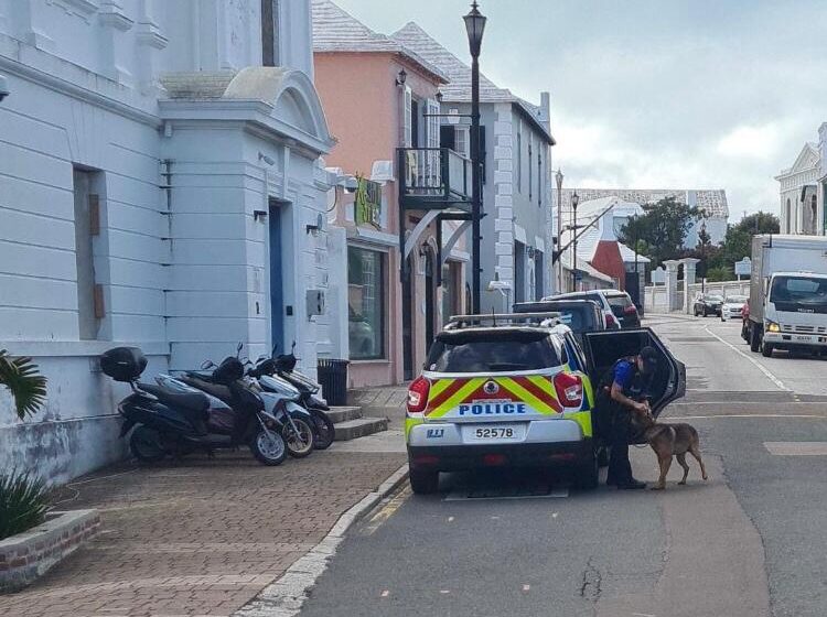  Police Confirm One Man Arrested During Drug Raid and Seizure In St. Georges’s