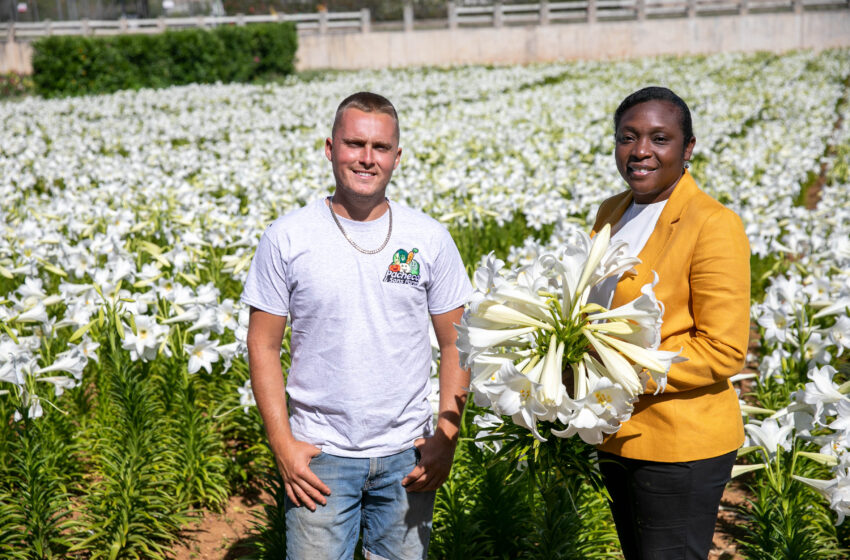  Annual Easter Lilies Delivery To Her Majesty The Queen By Governor  Lalgie
