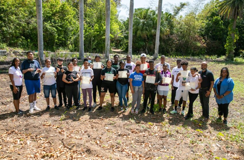  MIRRORS COHORT 17 COMPLETION CEREMONY OFFICIALLY OPENS THE FIELD OF LEARNING GARDEN CLUB   