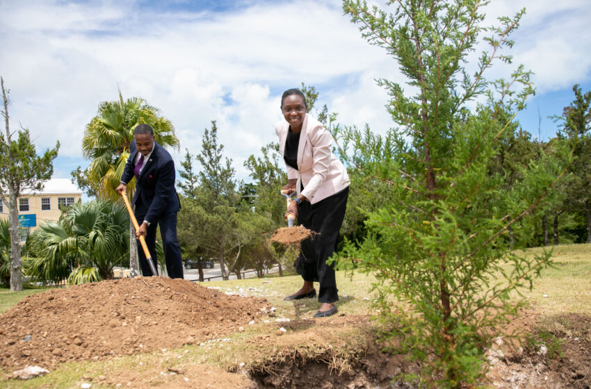  Governor Rena Lalgie and Premier Burt Planted Two Cedar Trees in Honour of Queen’s Platinum Jubilee Milestone