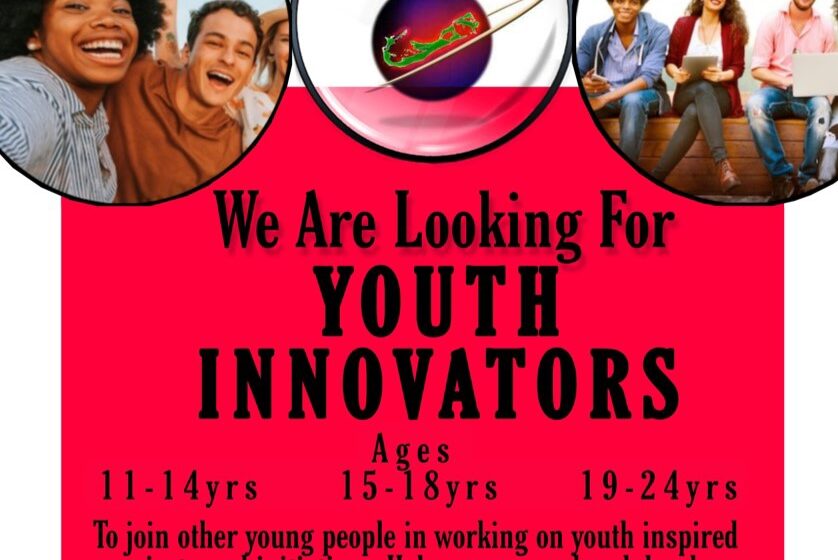  Teen Services Youth Innovator Needed