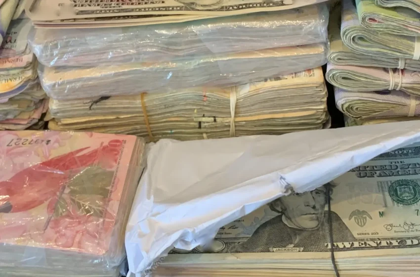  $300,000,00 In Cash Drugs and Live Ammunition Seized in Latest Police Raid