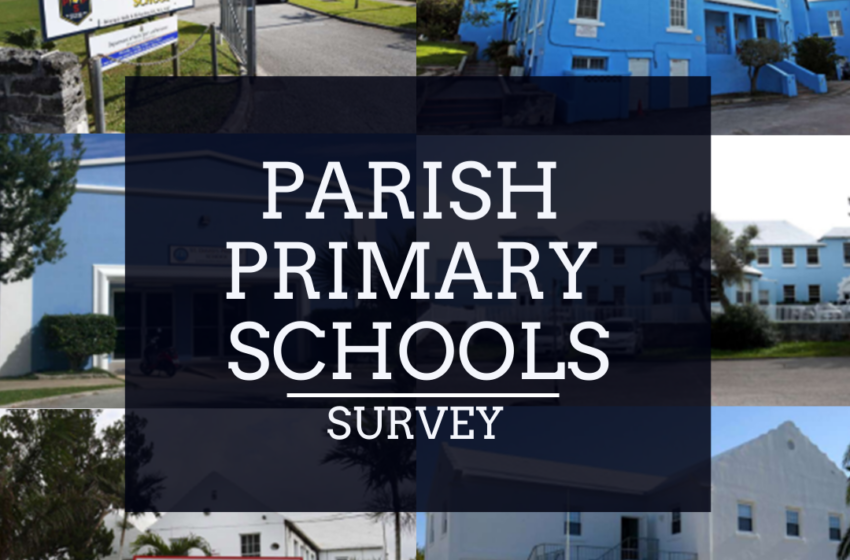  Survey: Public Support Low for Parish Primary Decisions