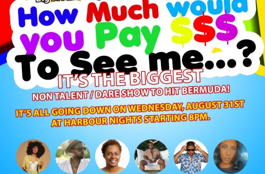  Big Brothers Big Sisters of Bermuda presents  “How much would you pay to see me…?”