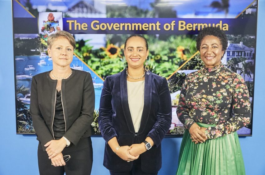  Gender Affairs Council for Bermuda Introduced