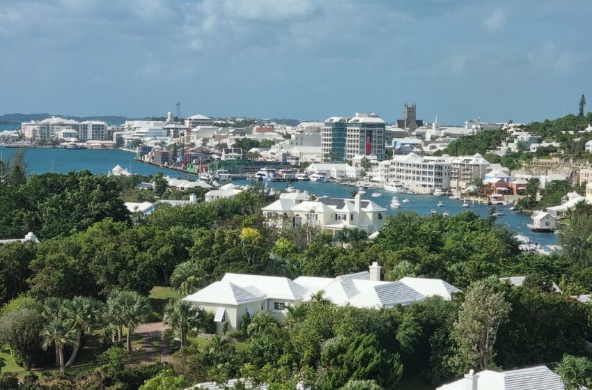  A Global First Survey: Violence and Harassment at Work and Bermuda’s Response