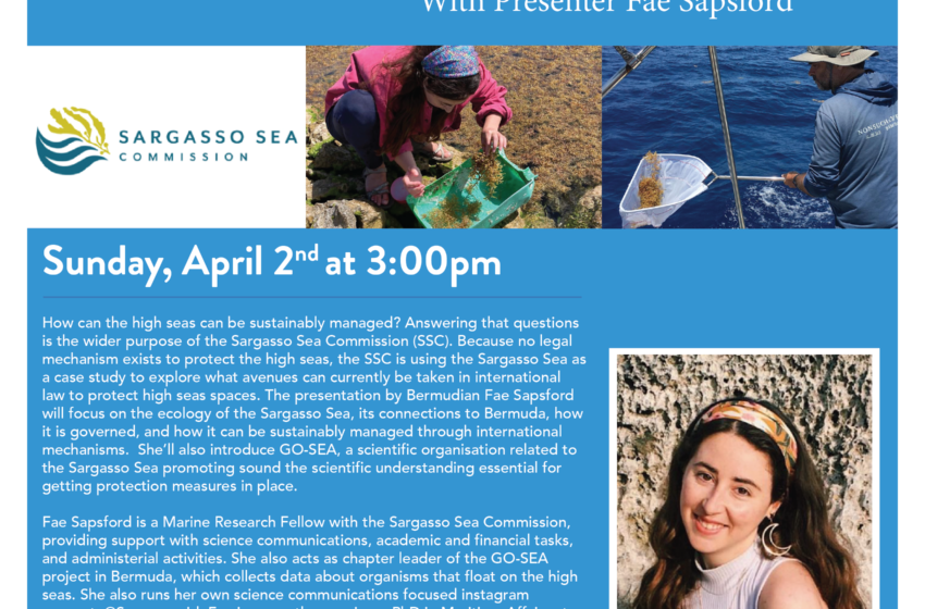  BUEI Talks: Island SOS Bermuda – Protecting the Sargasso Sea