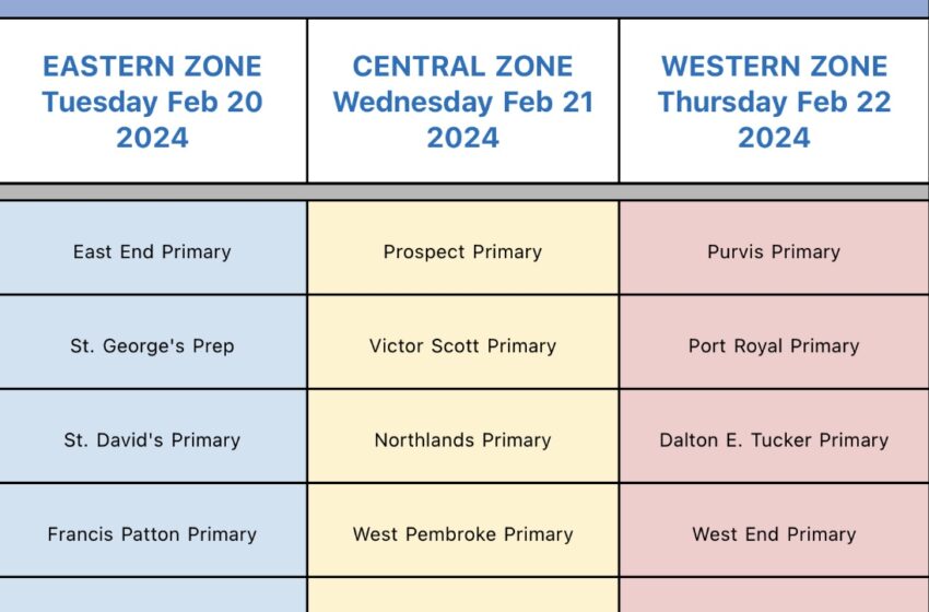  2024 – 2025 Online Registration for Public School System at the Primary Level