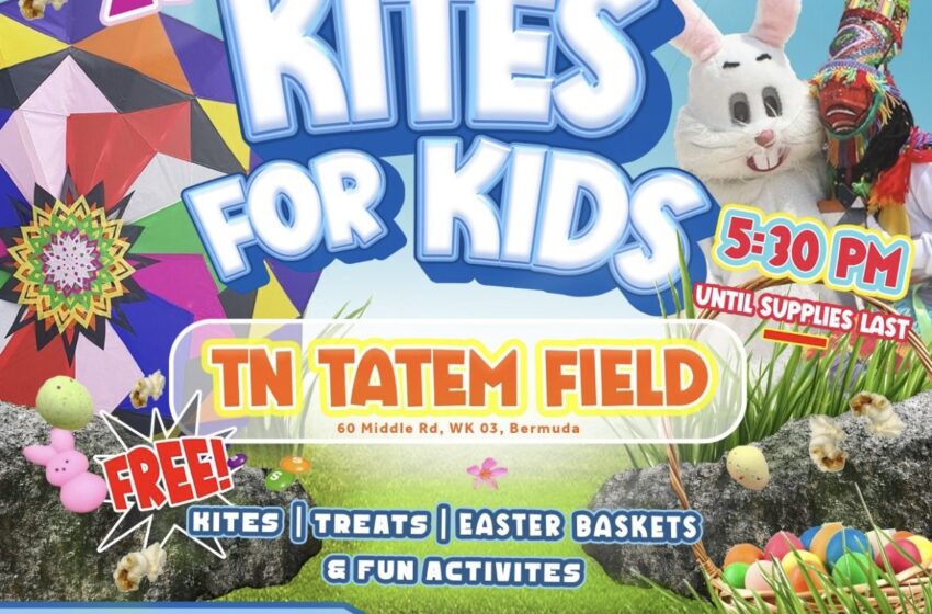  Kites for kids 3rd annual free kites giveback