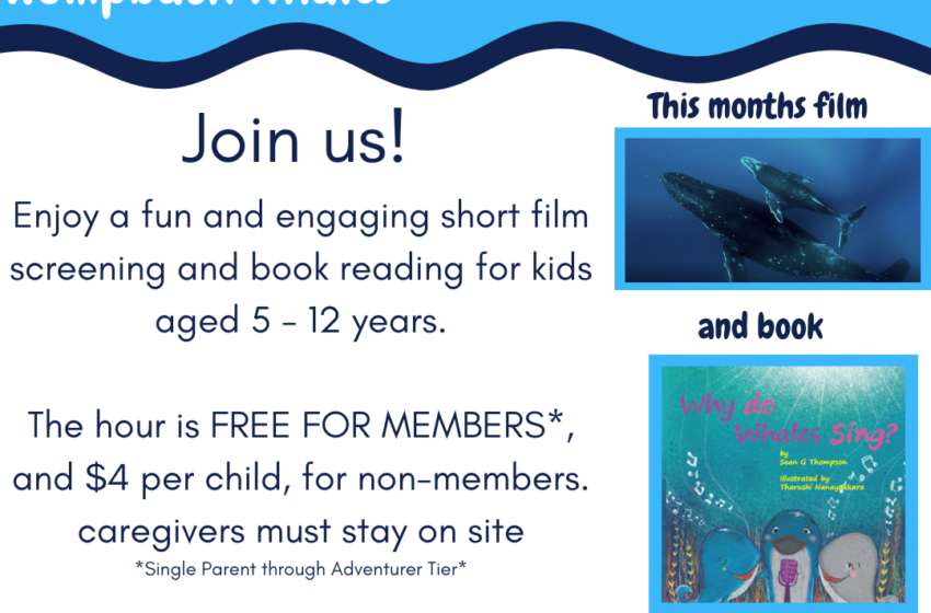  Kids Hour Saturdays Continue at the Bermuda Underwater Exploration Institute (BUEI)