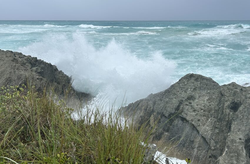  Bermuda under Hurricane Ernesto watch with 36 hours of sustained winds say NS Minister Weeks