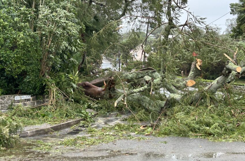  BELCO power restoration begins But safety first says Wayne Caines