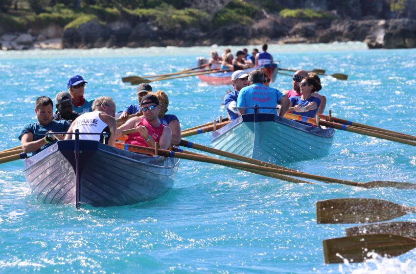  100 Rowers take to the waters of Bermuda this Sunday