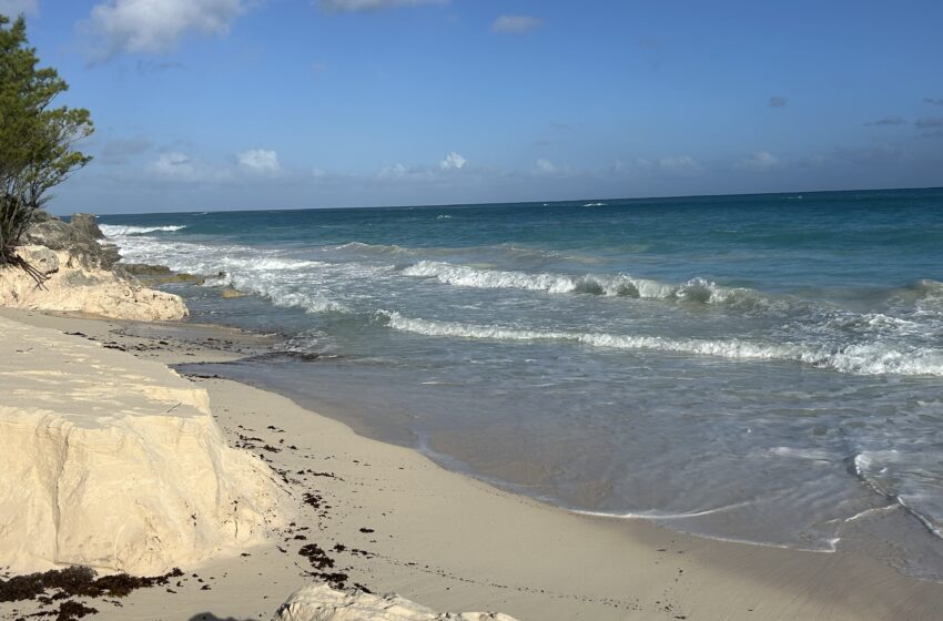  Unconscious male pulled from water near Elbow Beach