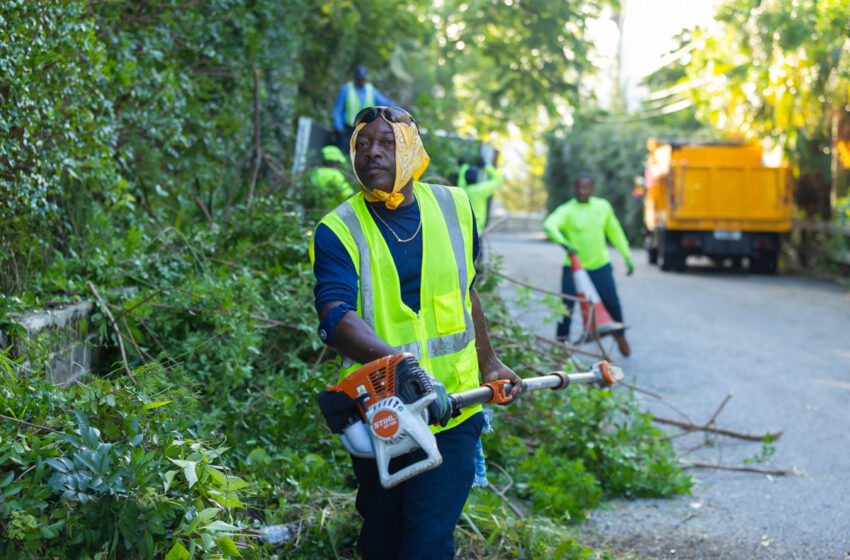  Public Works Crews Trim Trees and Clear Vegetation Island-wide