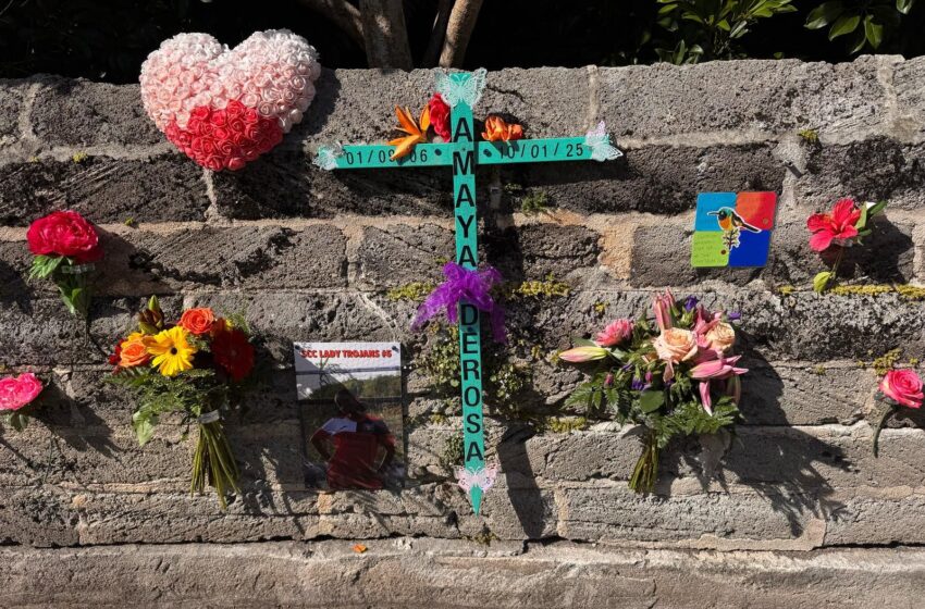  Heartbreak Upon Heartbreak: A Mother’s Pain Deepens as Memorial is Vandalized
