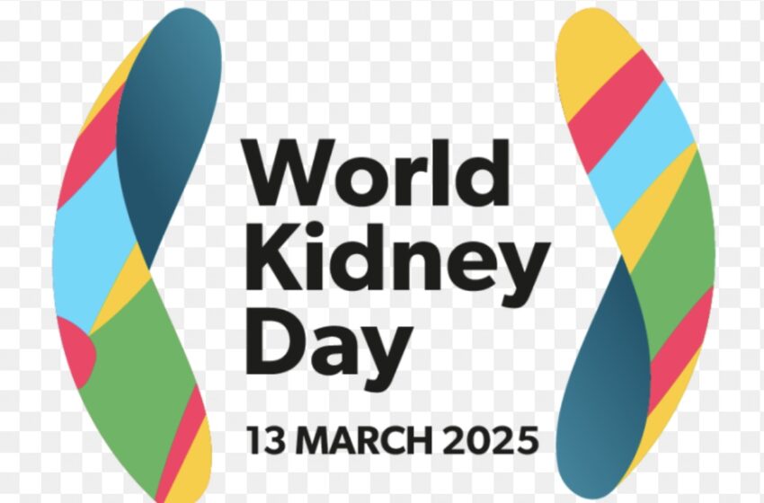  Urgent need to tackle chronic kidney disease in Bermuda says Health Minister Kim Wilson