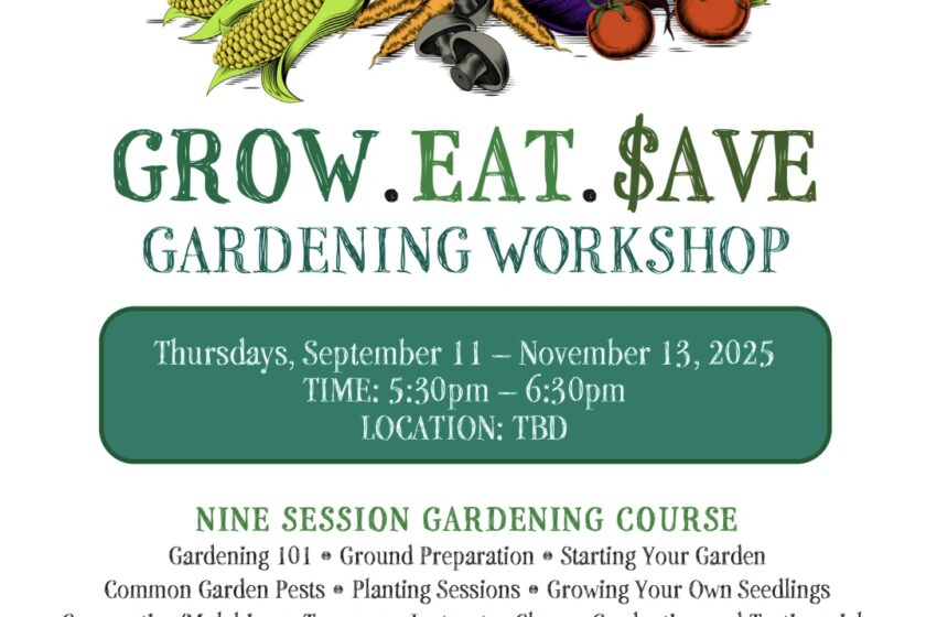  Ministry of Health Hosts FREE Gardening Workshop