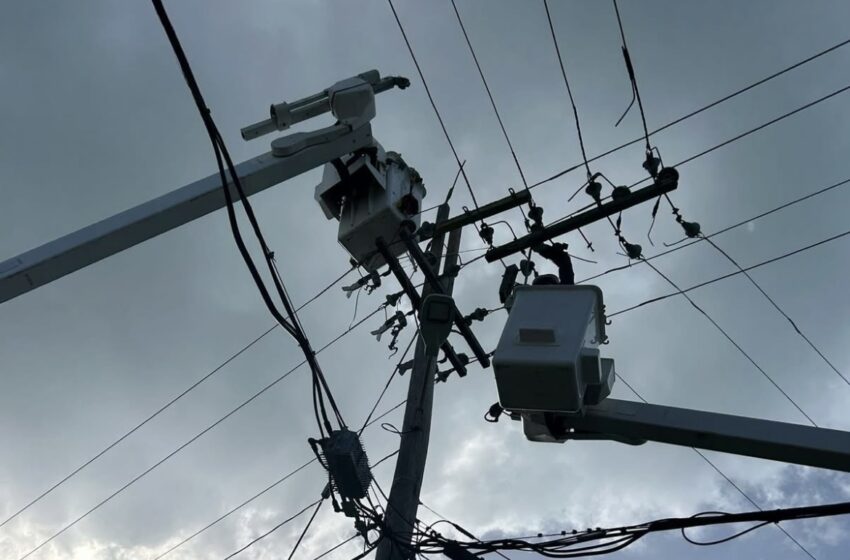  BELCO Announces Apprenticeship Programme