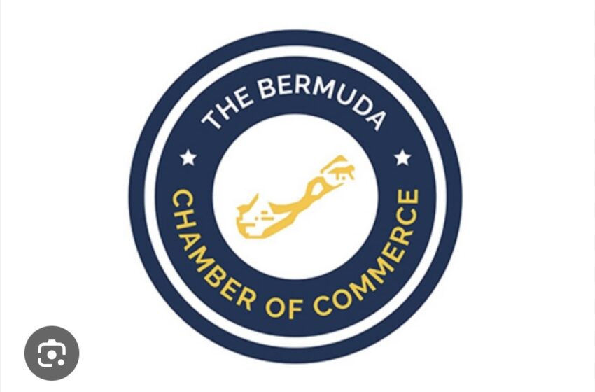  This Is Bigger Than Hospitality says Marico Thomas Bermuda Chamber of Commerce President