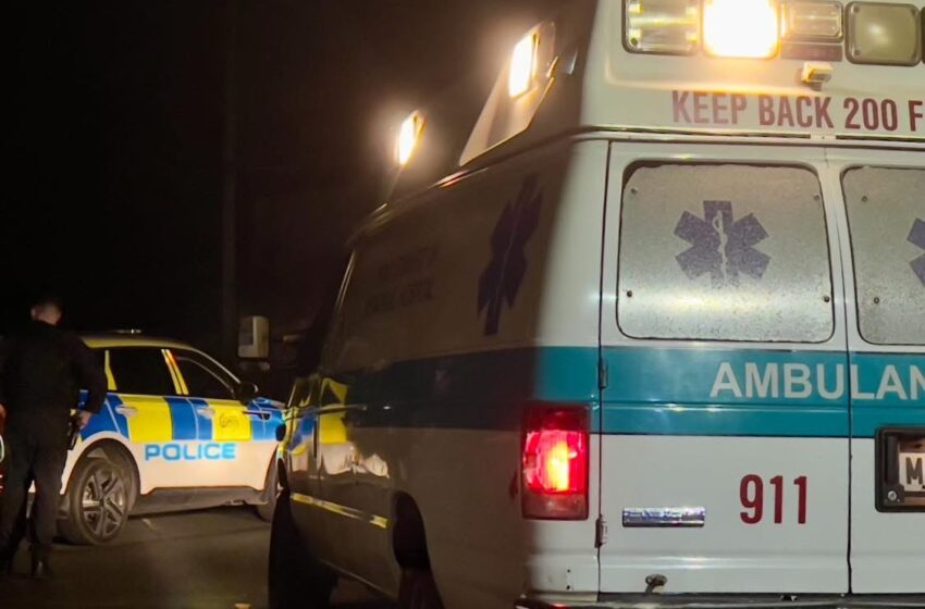 Police appeal for witnesses in fatal road traffic collision