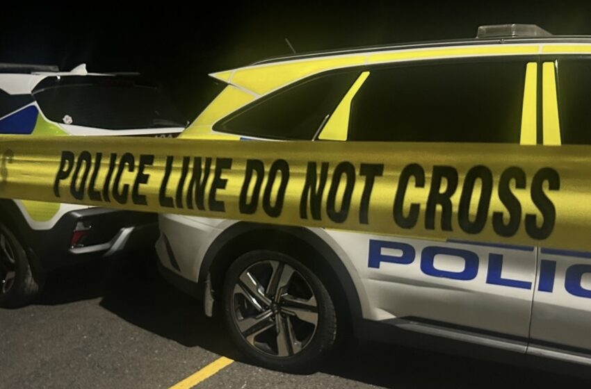  Reports of Late-Night Firearm Incident on Court and Angle Street