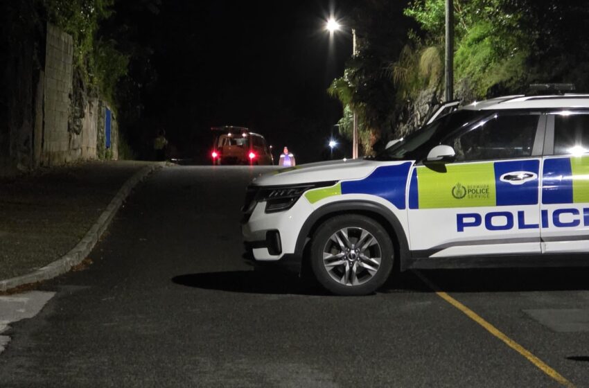  Police reports 17 year old teen becomes tenth road fatality victim of 2025