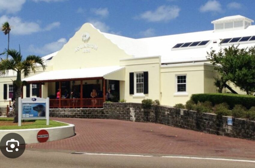 Essential Maintenance causes temporary closure for Bermuda Aquarium, Museum & Zoo