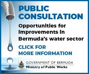 public consultation water bernews